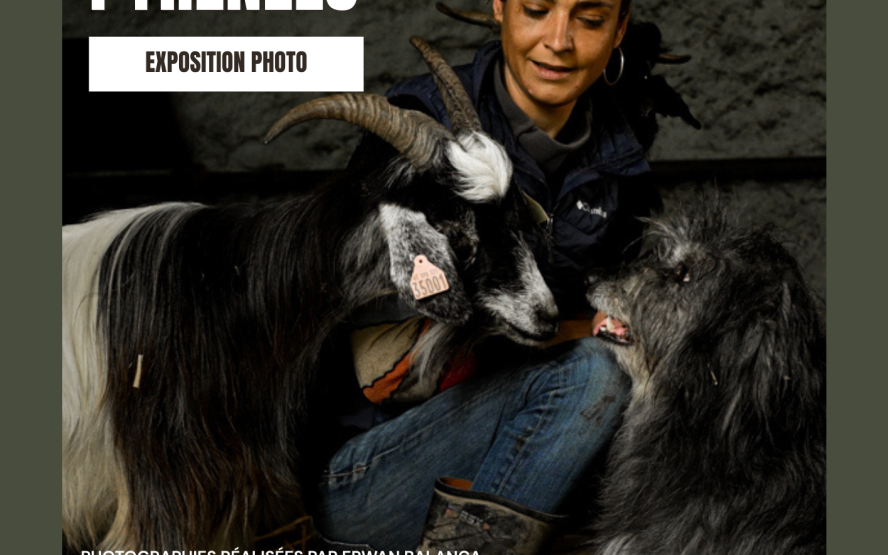 Image de présentation du lieu