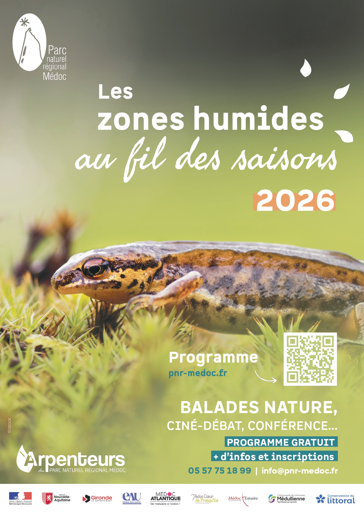 A la découverte des oiseaux migrateurs et de leurs proies