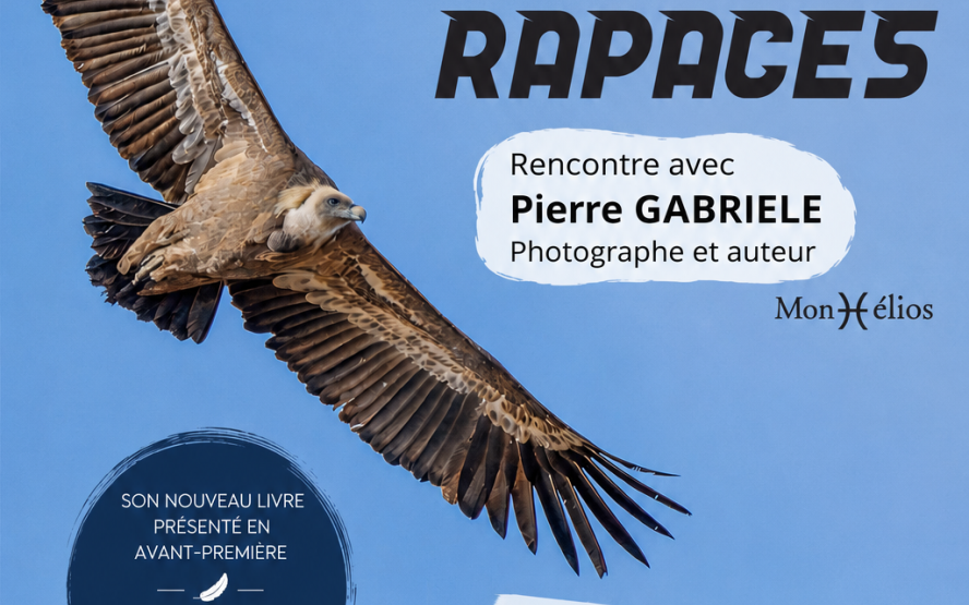 Image de présentation du lieu