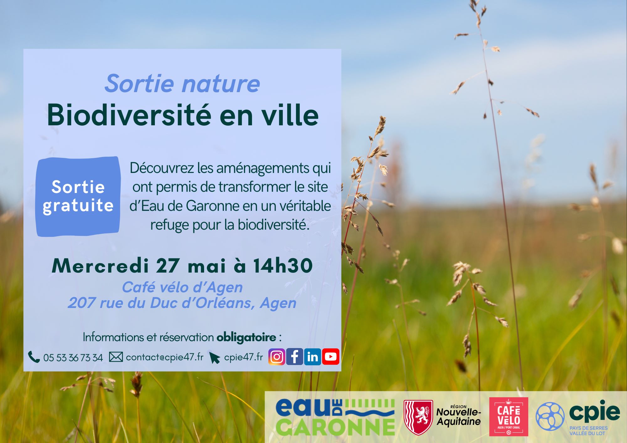 Balade découverte de la biodiversité en ville — visuel événement