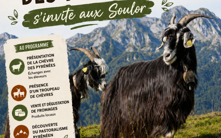 Image de présentation du lieu