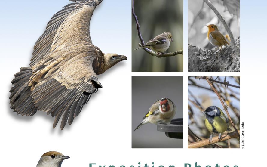 Image de présentation du lieu