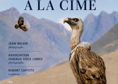 Exposition « De la Saligue à la Cime »