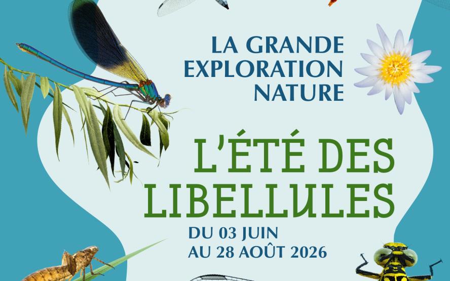 Image de présentation du lieu