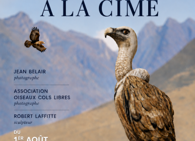 Exposition « De la Saligue à la Cime »