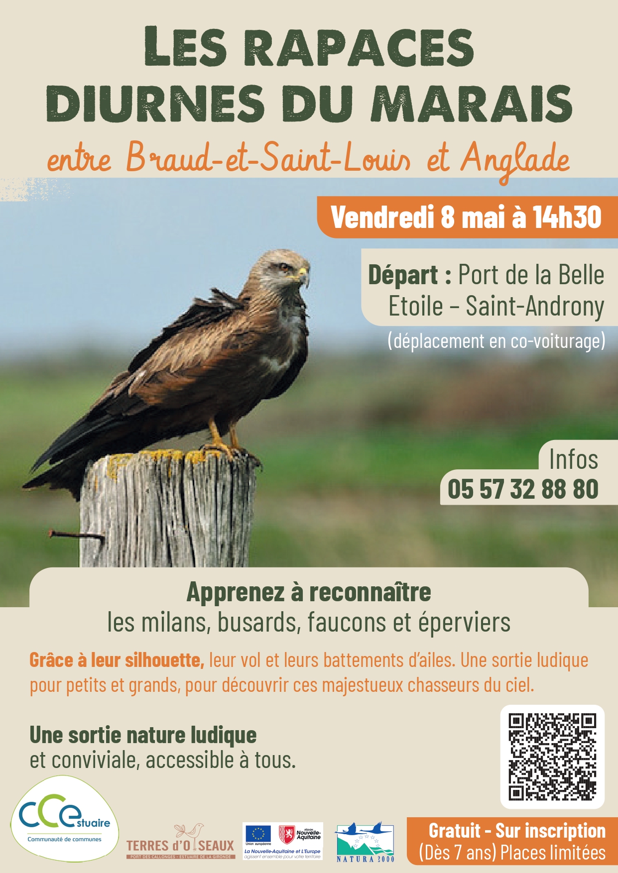 Sortie Natura 2000 : sur les terres des Rapaces Diurnes, Braud-et-Saint-Louis - photo 3