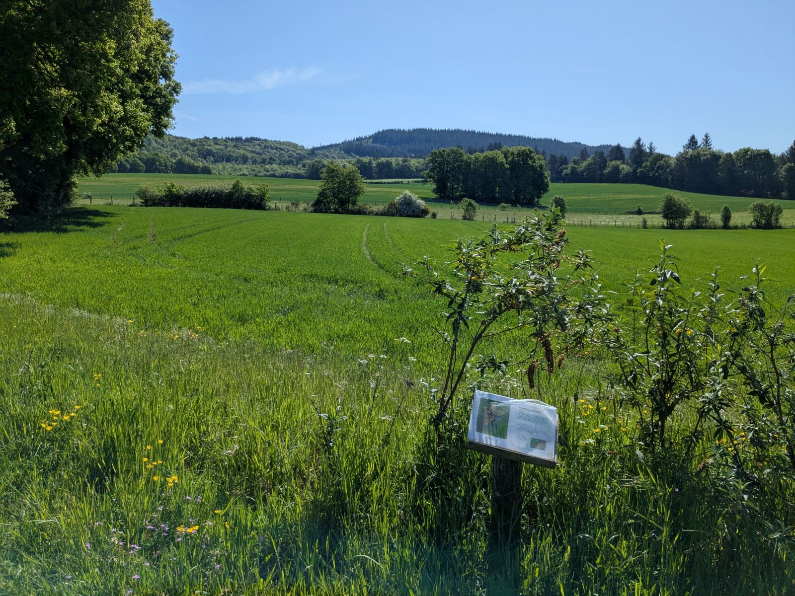 Le rocher des folles, Affieux - photo 18