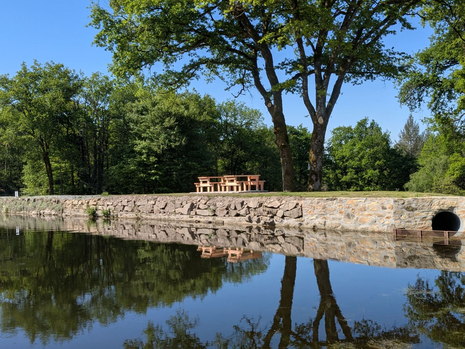 Etang de Linâtre, Affieux - photo 4