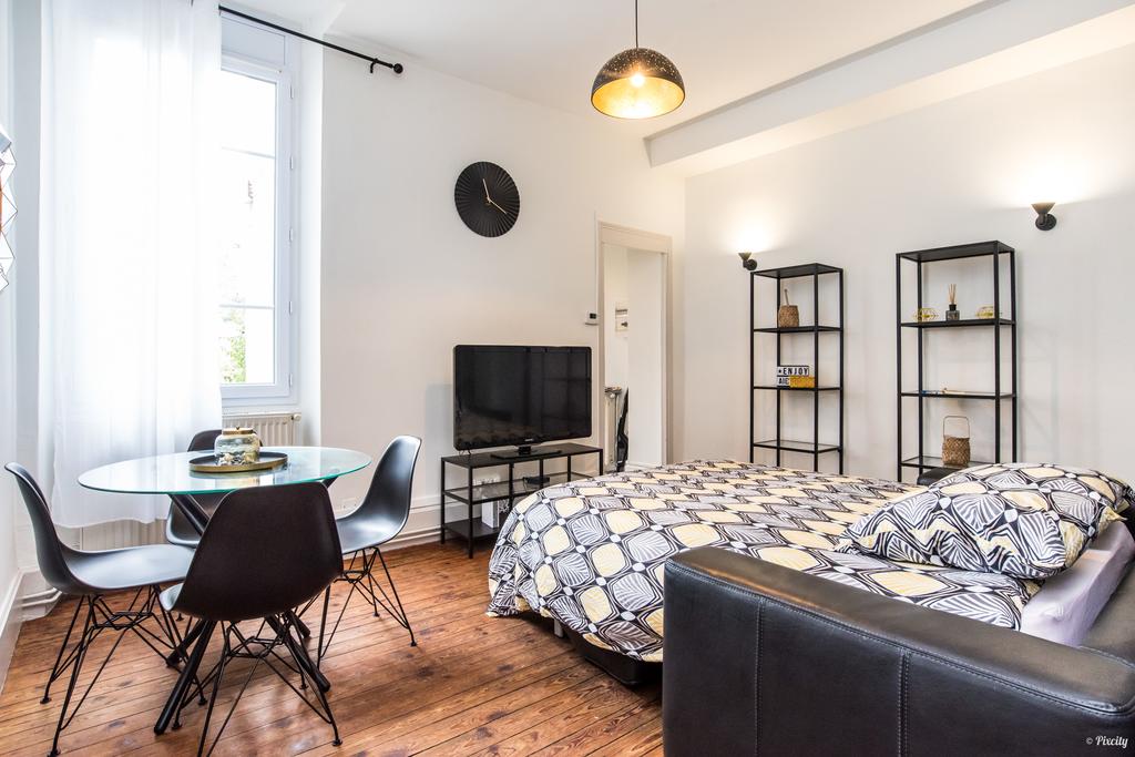 Gîte Grande Horloge du Bd Scaliger, Agen - photo 4