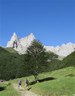 AiguillesAnsbsortiebois