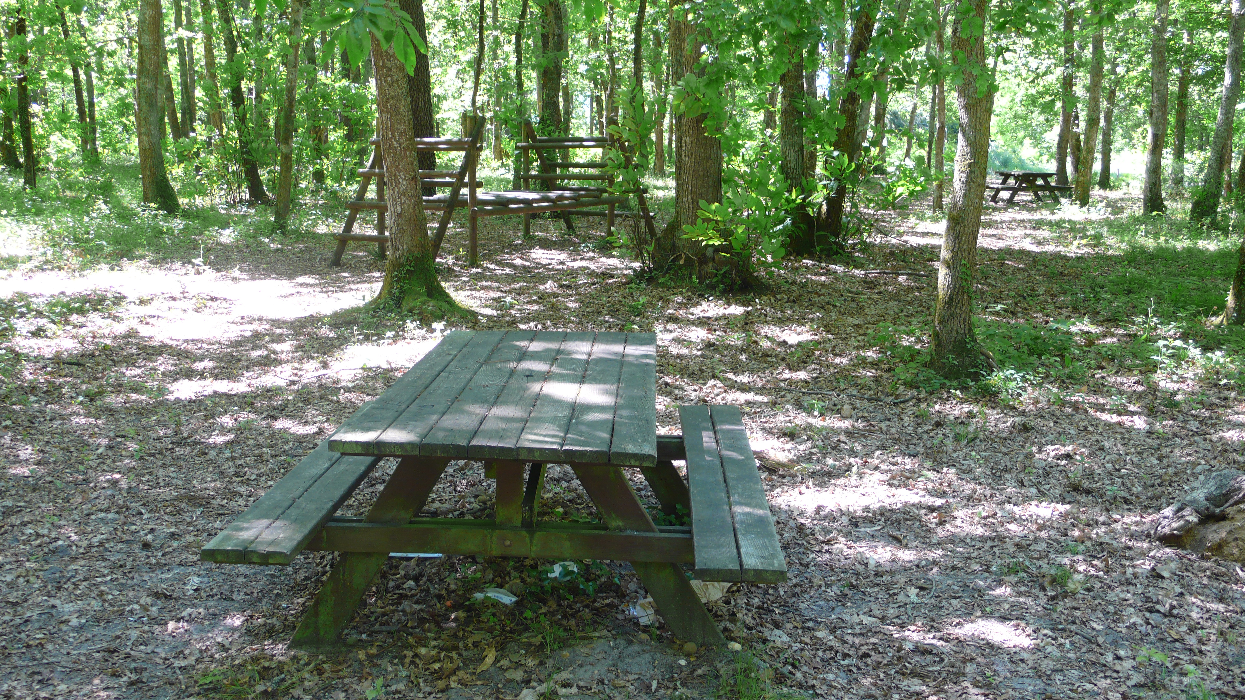 Aire de pique-nique du Bois de Savis