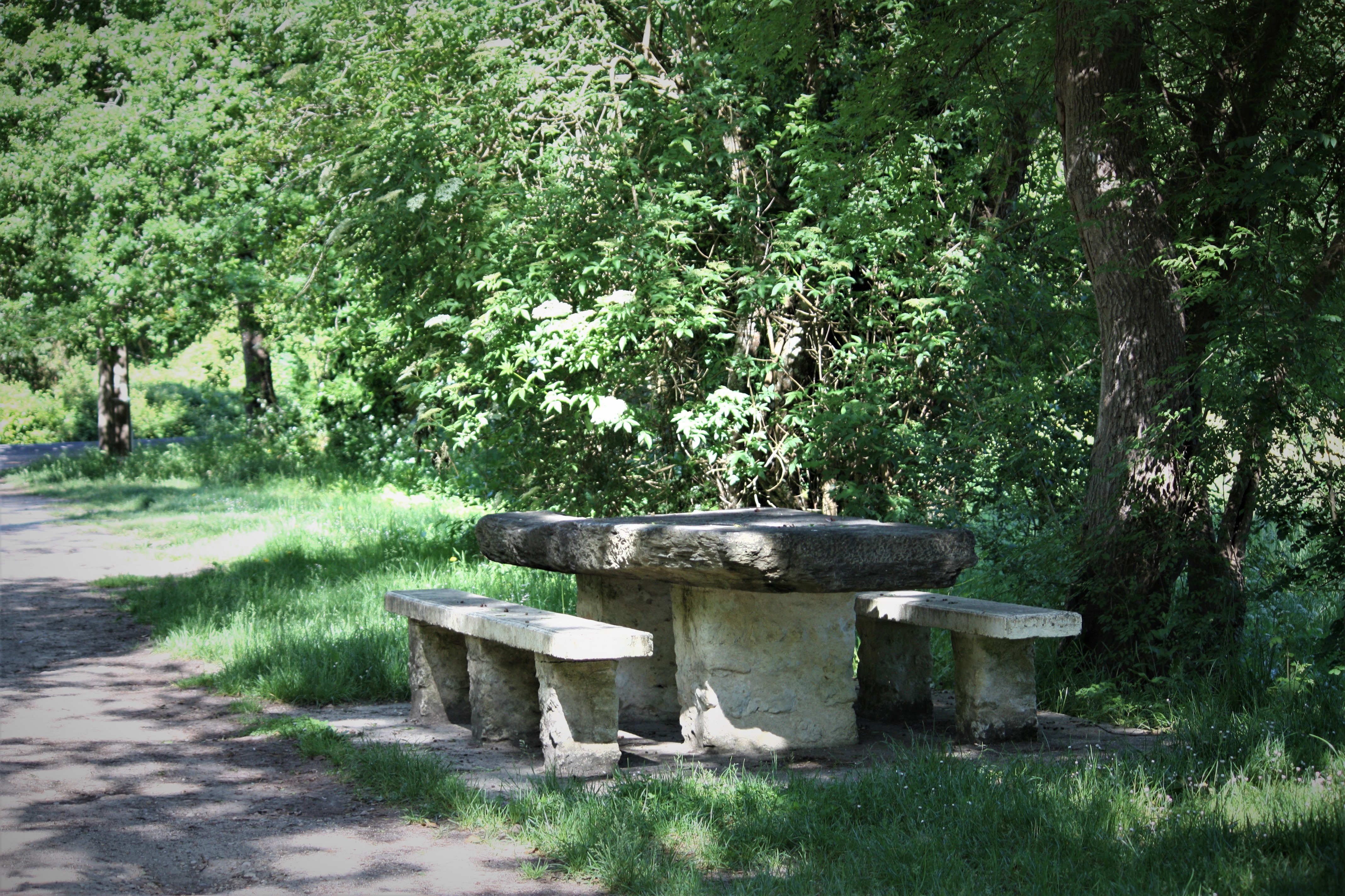 Aire de Pique-nique de Tiquetorte