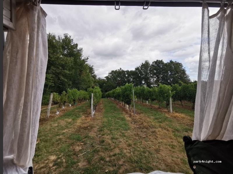 Aire de camping-car à la ferme Larrey - photo 3