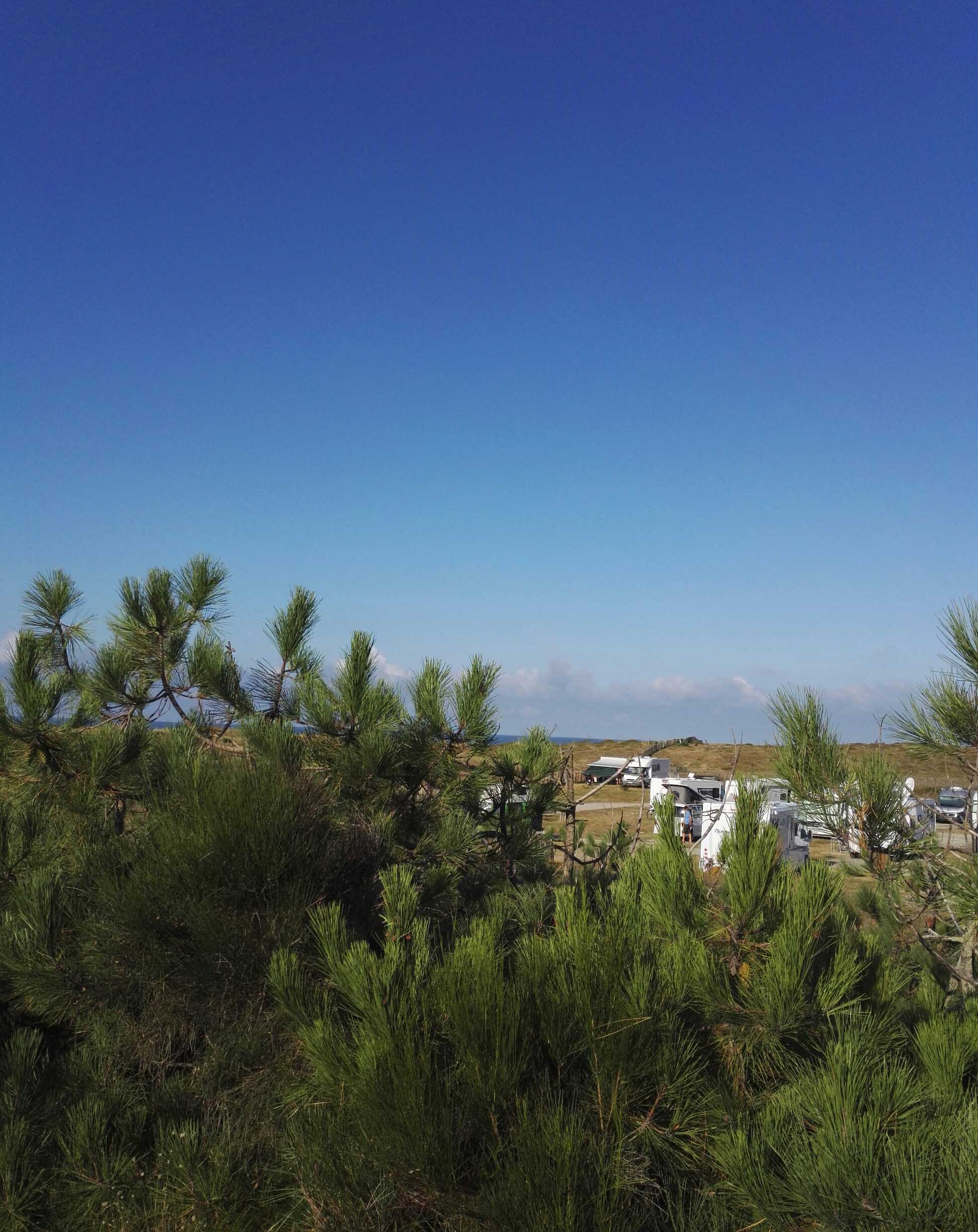 Aire de camping-cars de l'Océan, Vendays-Montalivet - photo 2