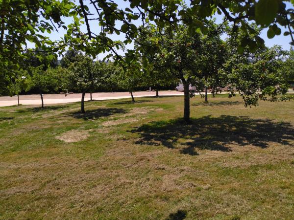 Aire d'accueil multi-services du Chalard, Le Chalard - photo 2