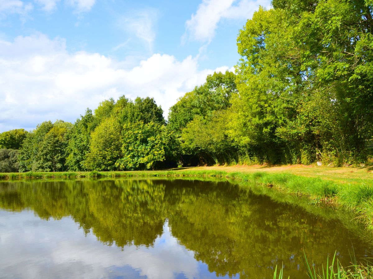 Aire d'accueil de camping-cars - photo 4