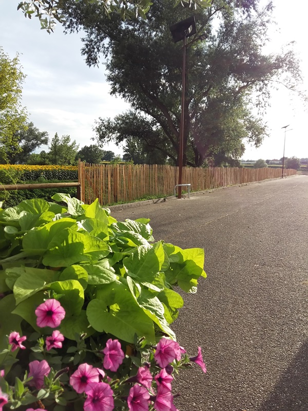 Aire de camping-car de Tonneins, Tonneins - photo 4