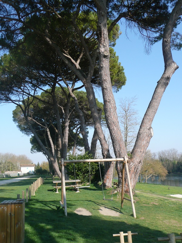 Aire de pique-nique de la plage des Bardoulets à Port-Sainte-Foy-et-Ponchapt