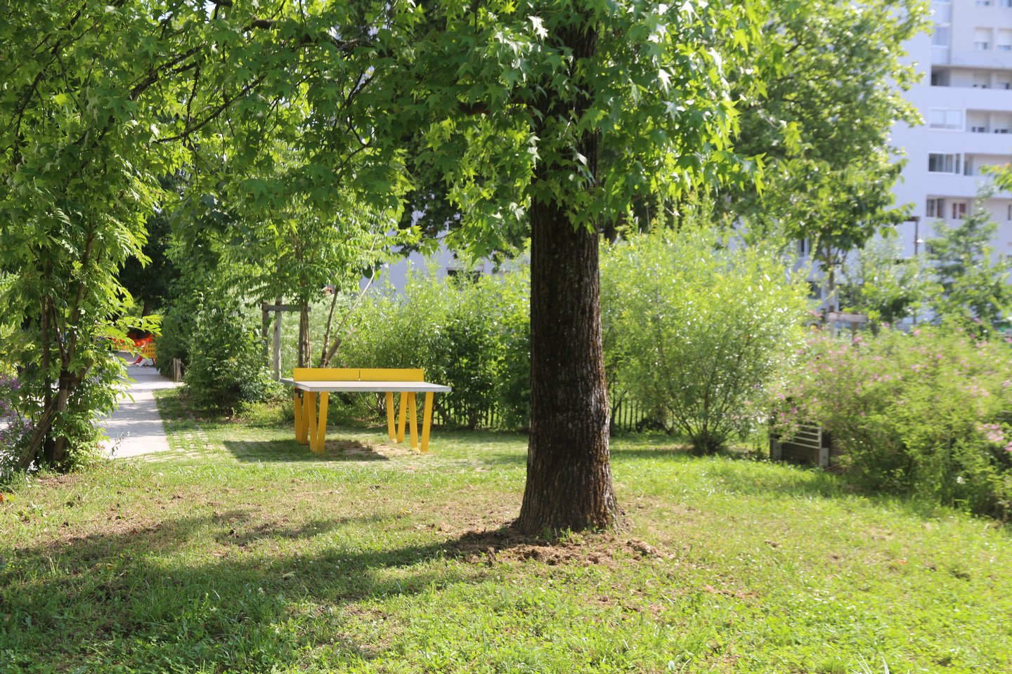 Aire de jeux et d'éveil - Parc Noulibos