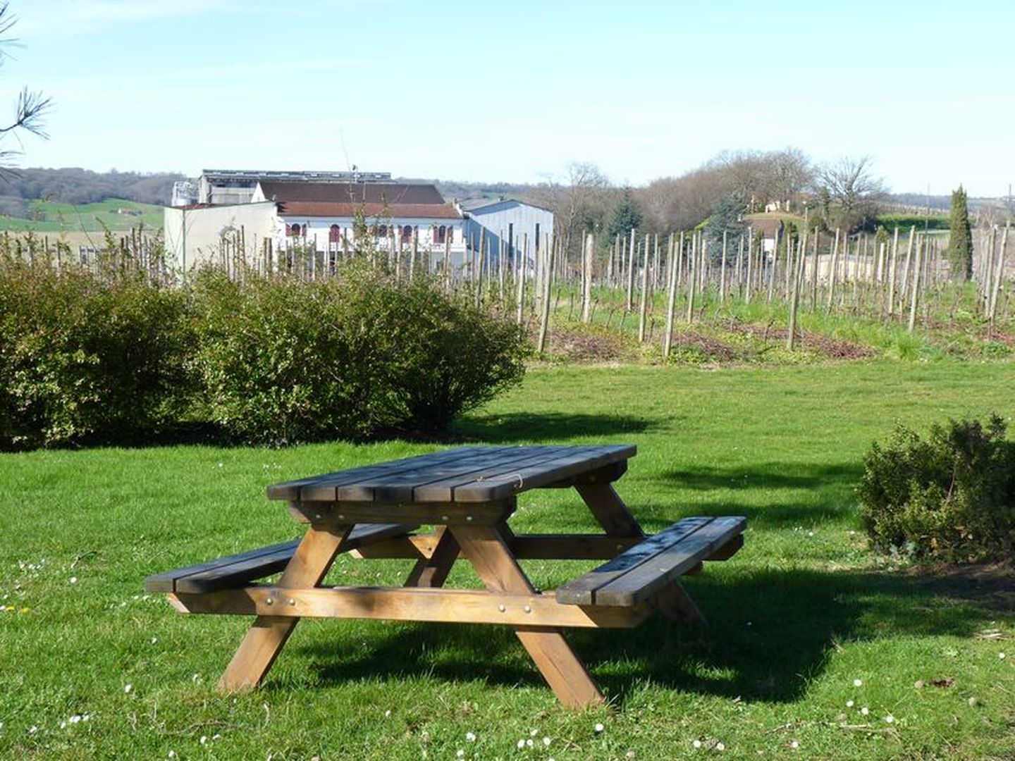 Aire de pique-nique du Château