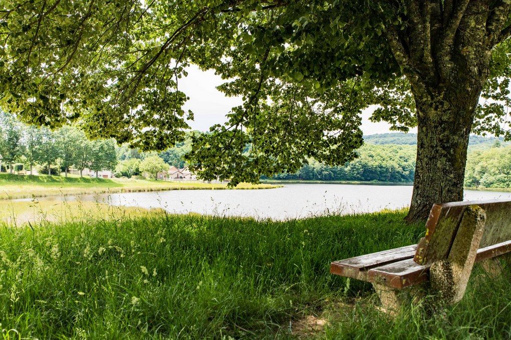 Aire de pique-nique - Parc Les Pirates de Bourbon