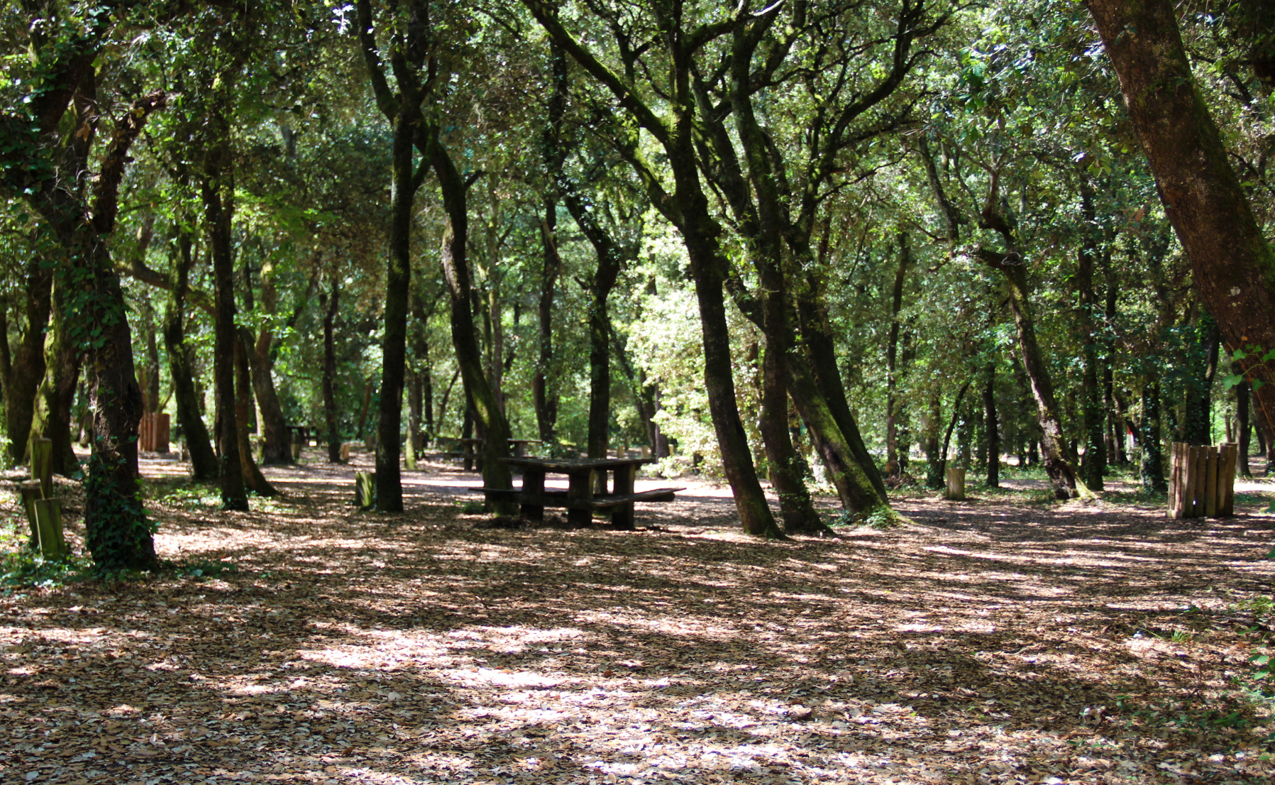 Aire de pique-nique de Saint-Nicolas - photo 2