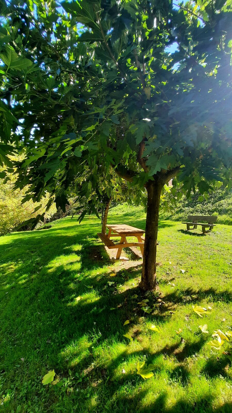 Aire de pique-nique de Saint Médard de Mussidan - photo 5