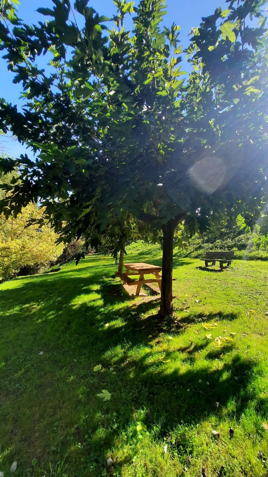 Aire de pique-nique de Saint Médard de Mussidan - photo 4