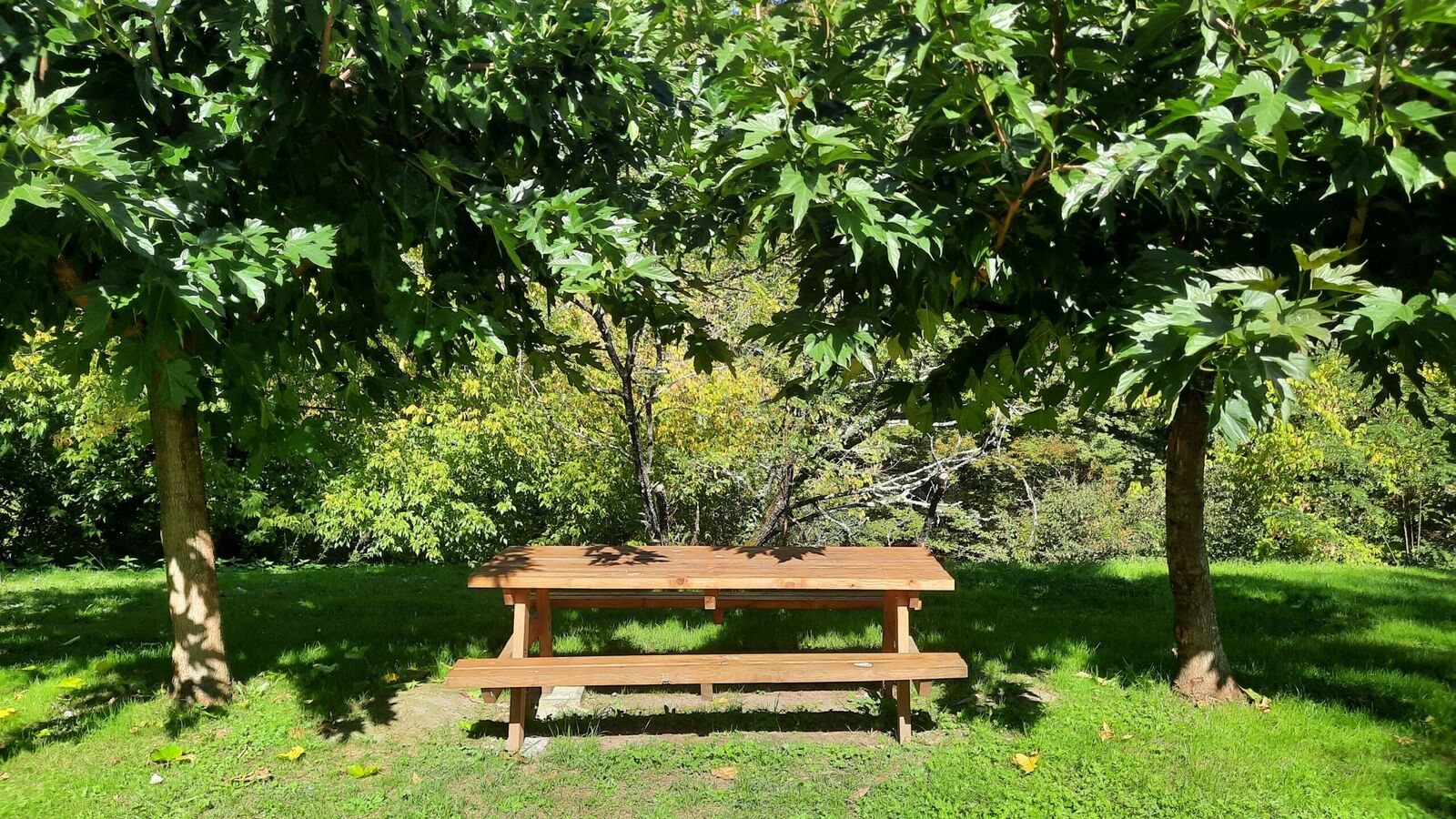 Aire de pique-nique de Saint Médard de Mussidan - photo 2