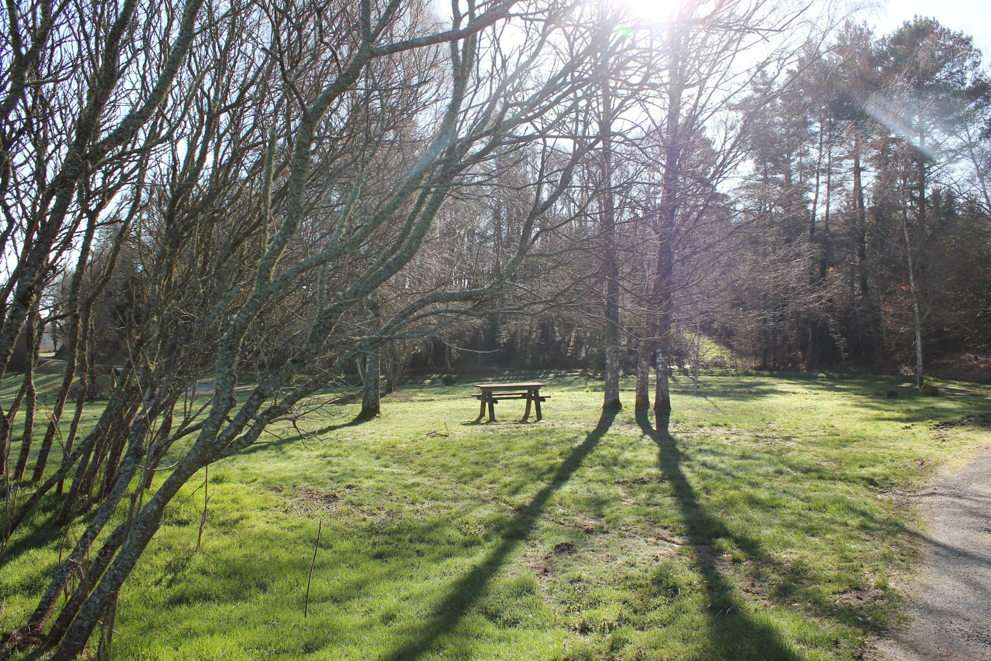 Plan d’eau communal de La Planche, Sauviat-sur-Vige