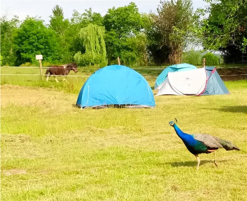 Aire Naturelle des Marnières