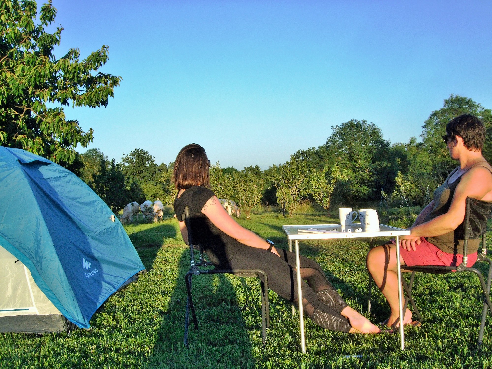 Aire naturelle de camping ICB là - photo 5