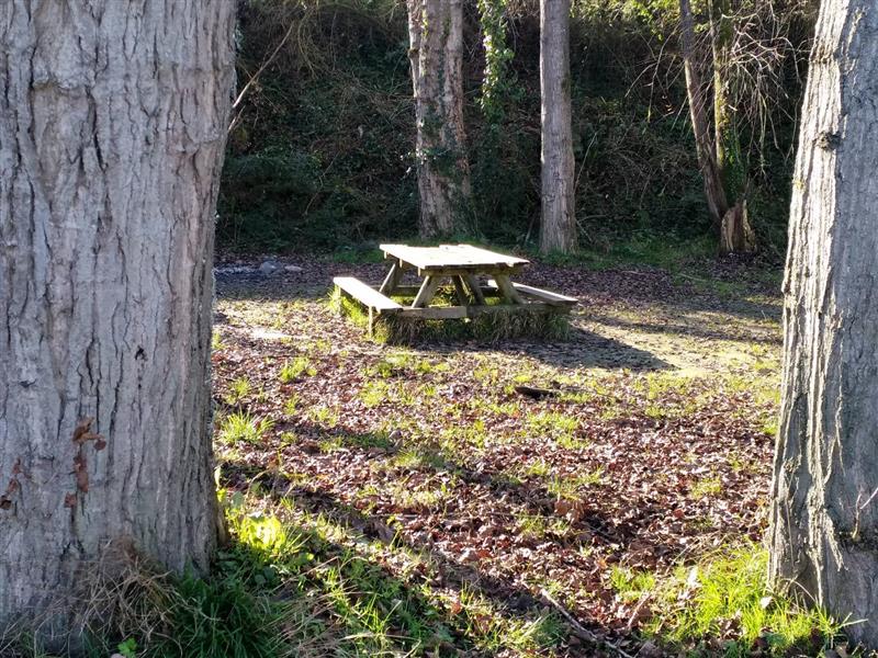 Aire de pique-nique