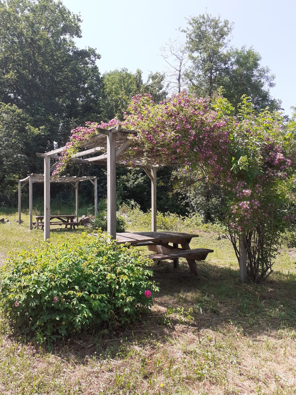 Aire de pique-nique de la Vige - photo 2