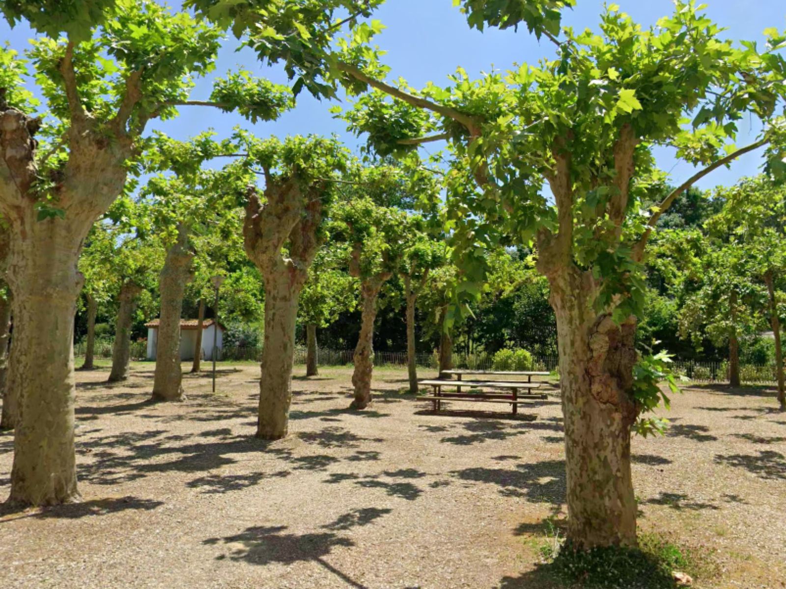 Aire de pique-nique de St-Michel-de-Lapujade