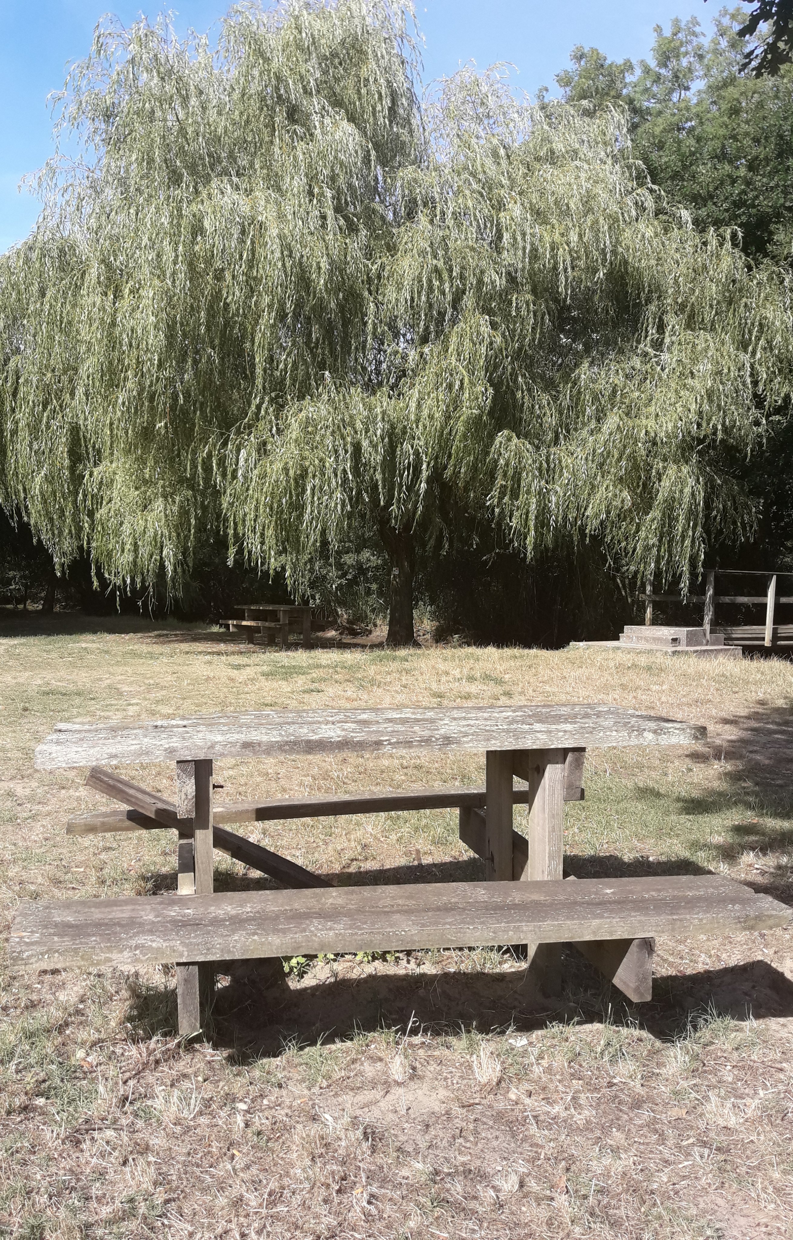 Aire de pique-nique du Pont de la Brède - photo 2