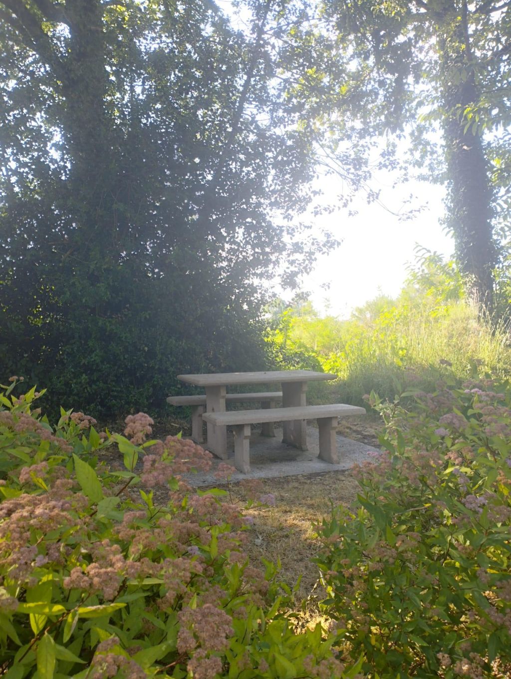 Aire de pique-nique - photo 5