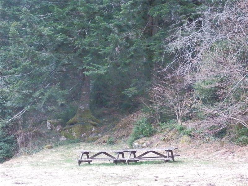 Aire de Pique Nique de Pla Péré