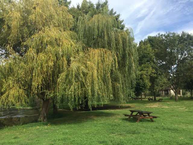 Aire de la Guillonerie