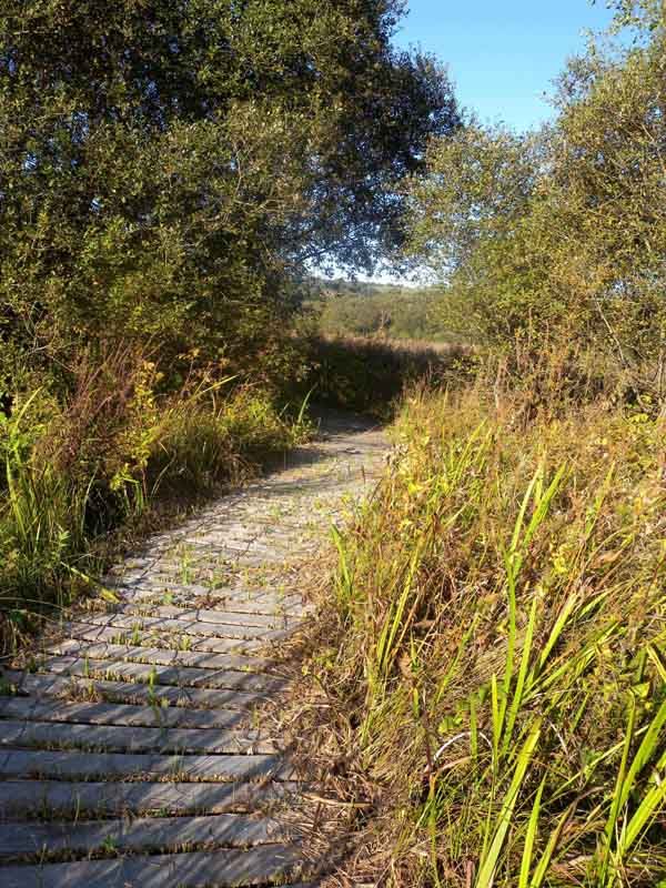 Variante de Losmonerie - Circuit puys et vallées en pays d'Aixe, Aixe-sur-Vienne