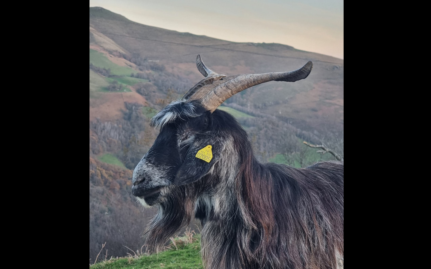 Akiloukap, Savons et Textiles du Pays Basque - photo 5