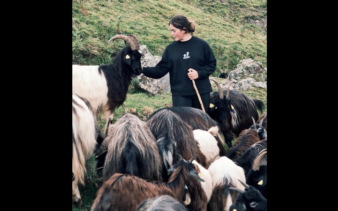 Akiloukap, Savons et Textiles du Pays Basque - photo 3