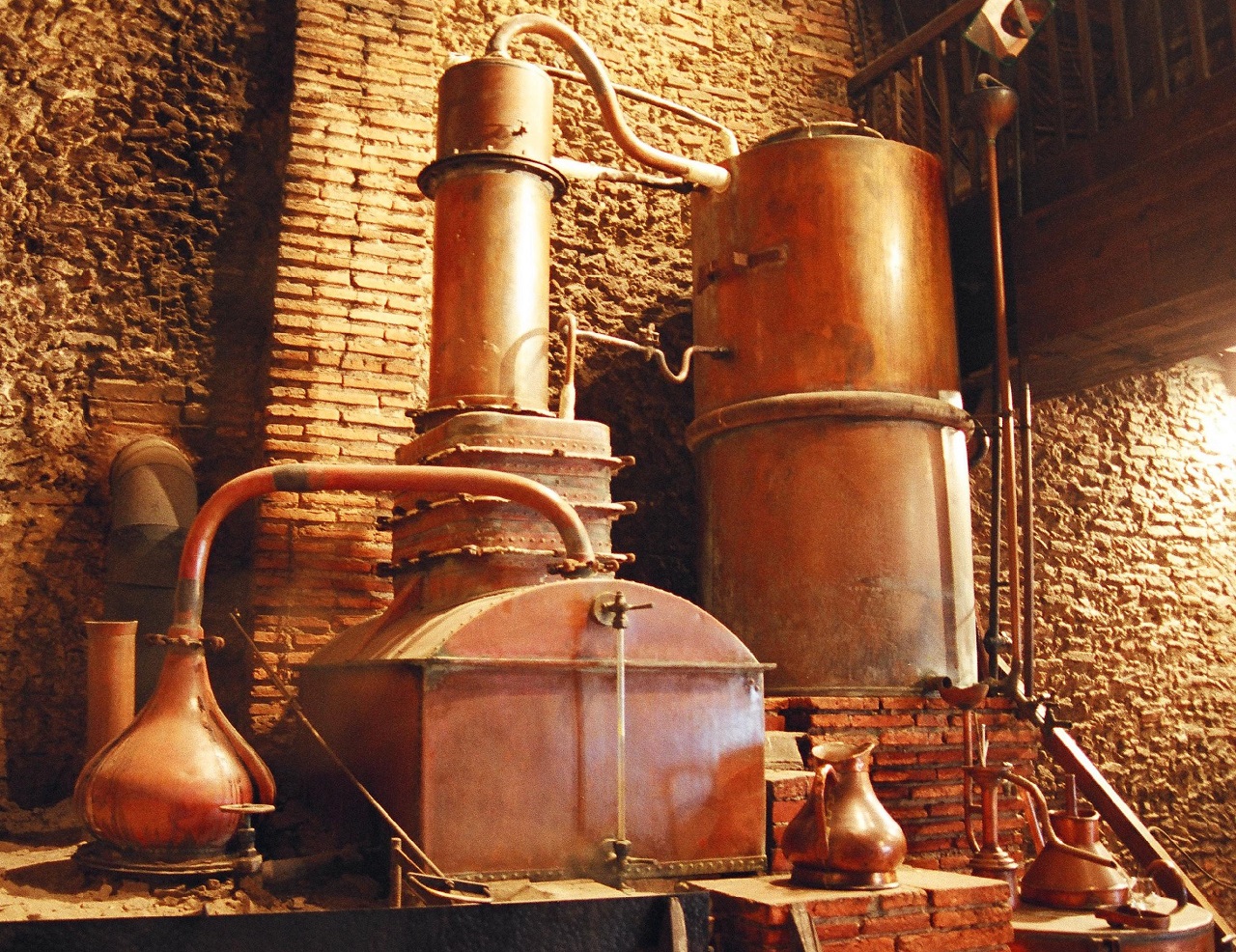 Domaine Départemental d'Ognoas, Arthez-d'Armagnac - photo 4