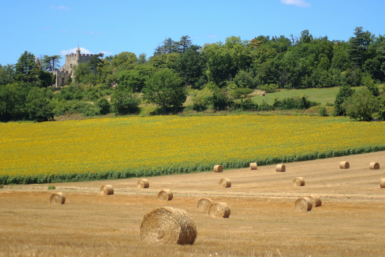 Ville de Nérac, Nérac - photo 26