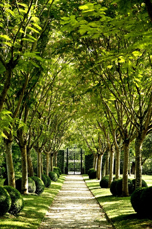 Hôtel-restaurant Le Vieux Logis, Trémolat - photo 11