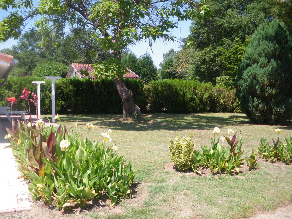 Location - Alonso Marie-Thérèse et Manuel