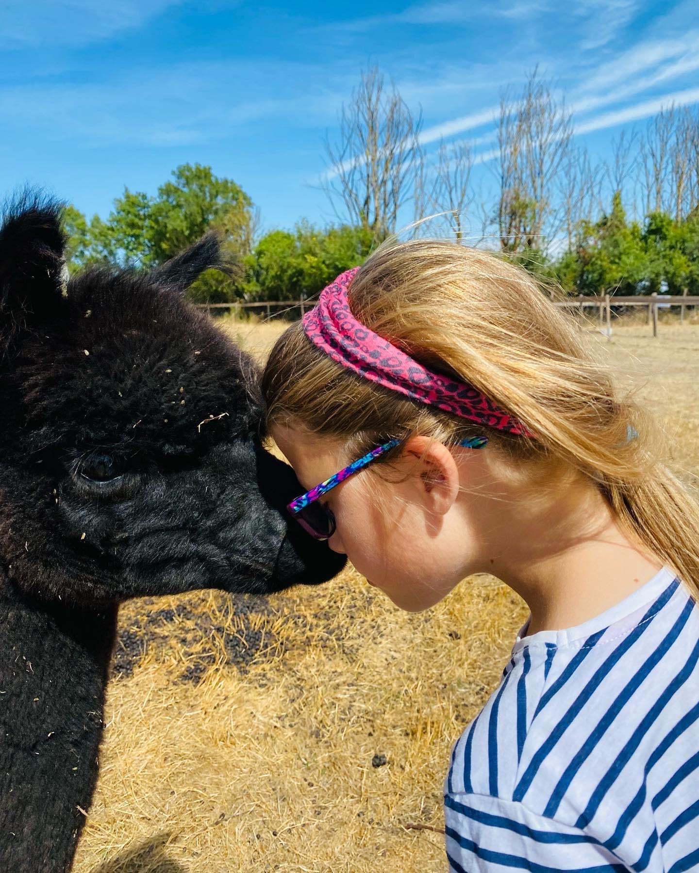 La Petite Ferme d'Alpagas Sanzay, Argentonnay - photo 5