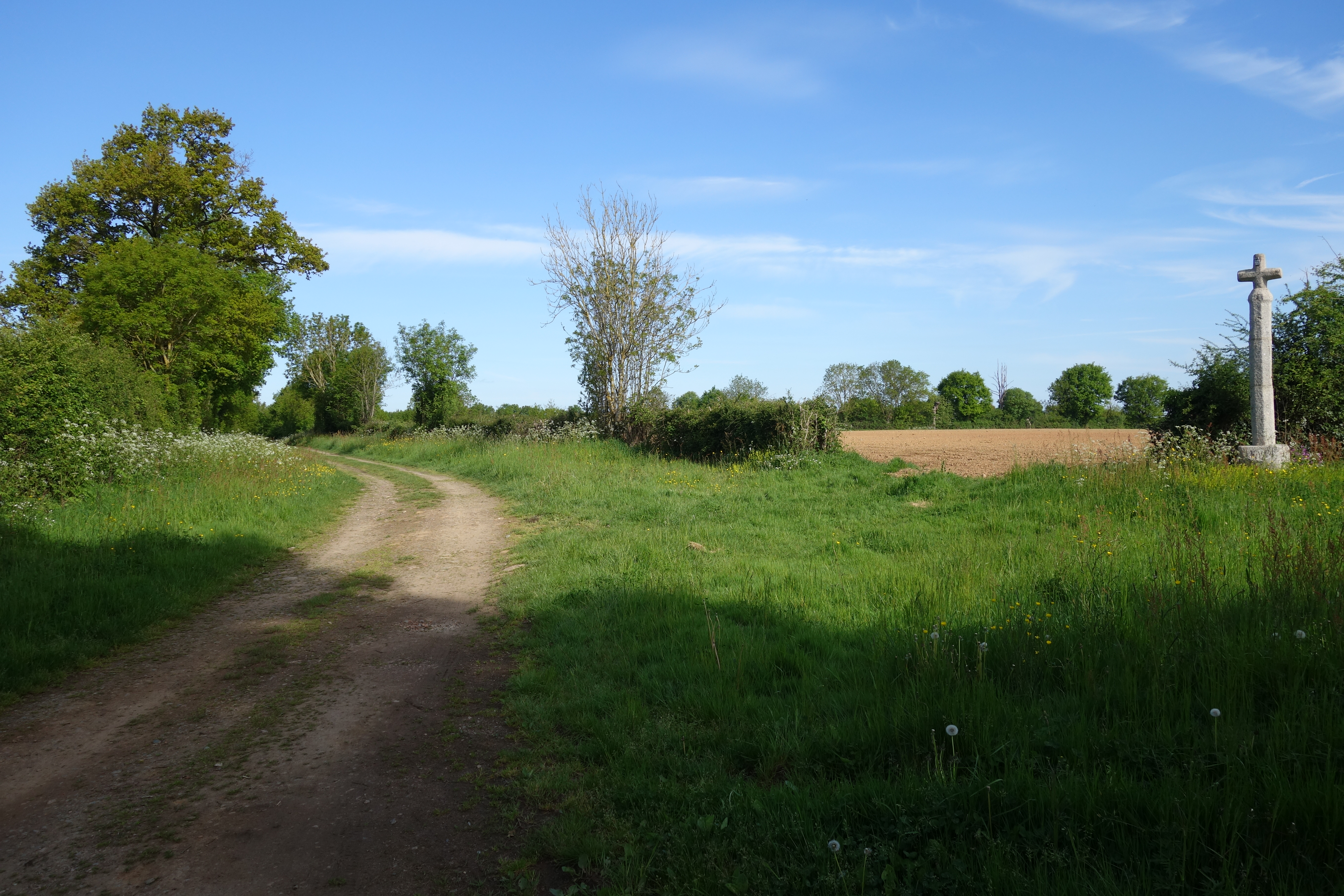 L'endurance, Parthenay - photo 15