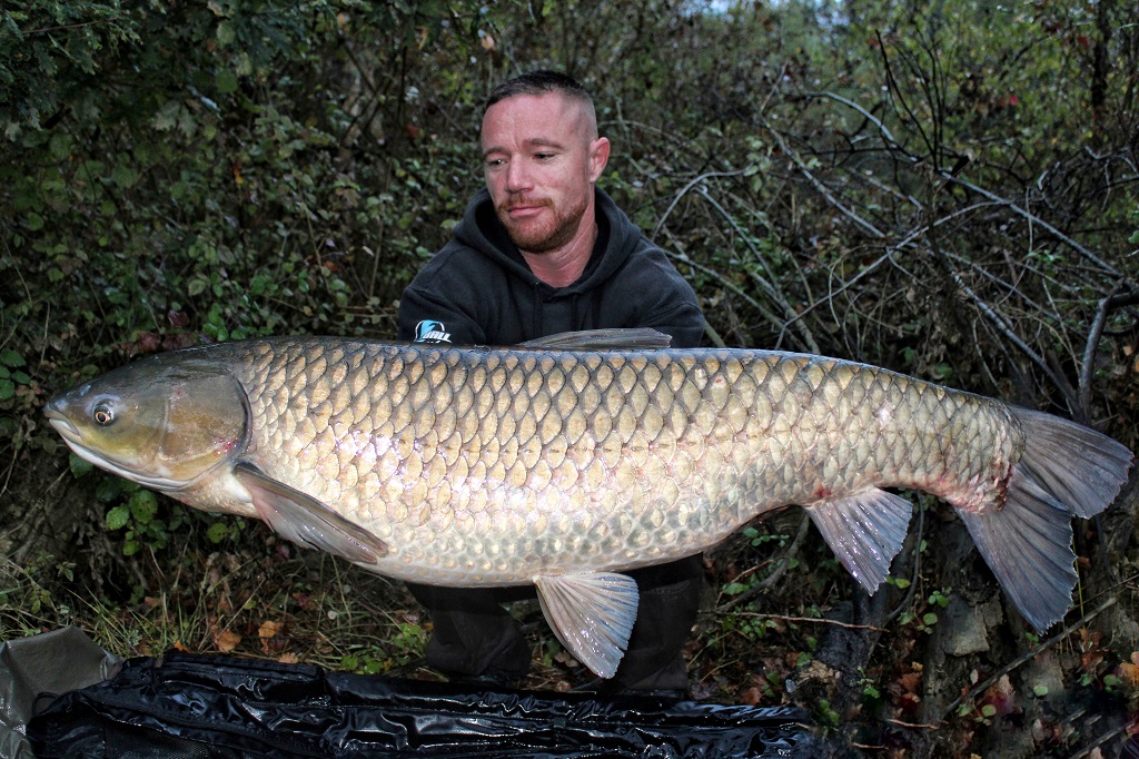 Etang de Laurède, Laurède