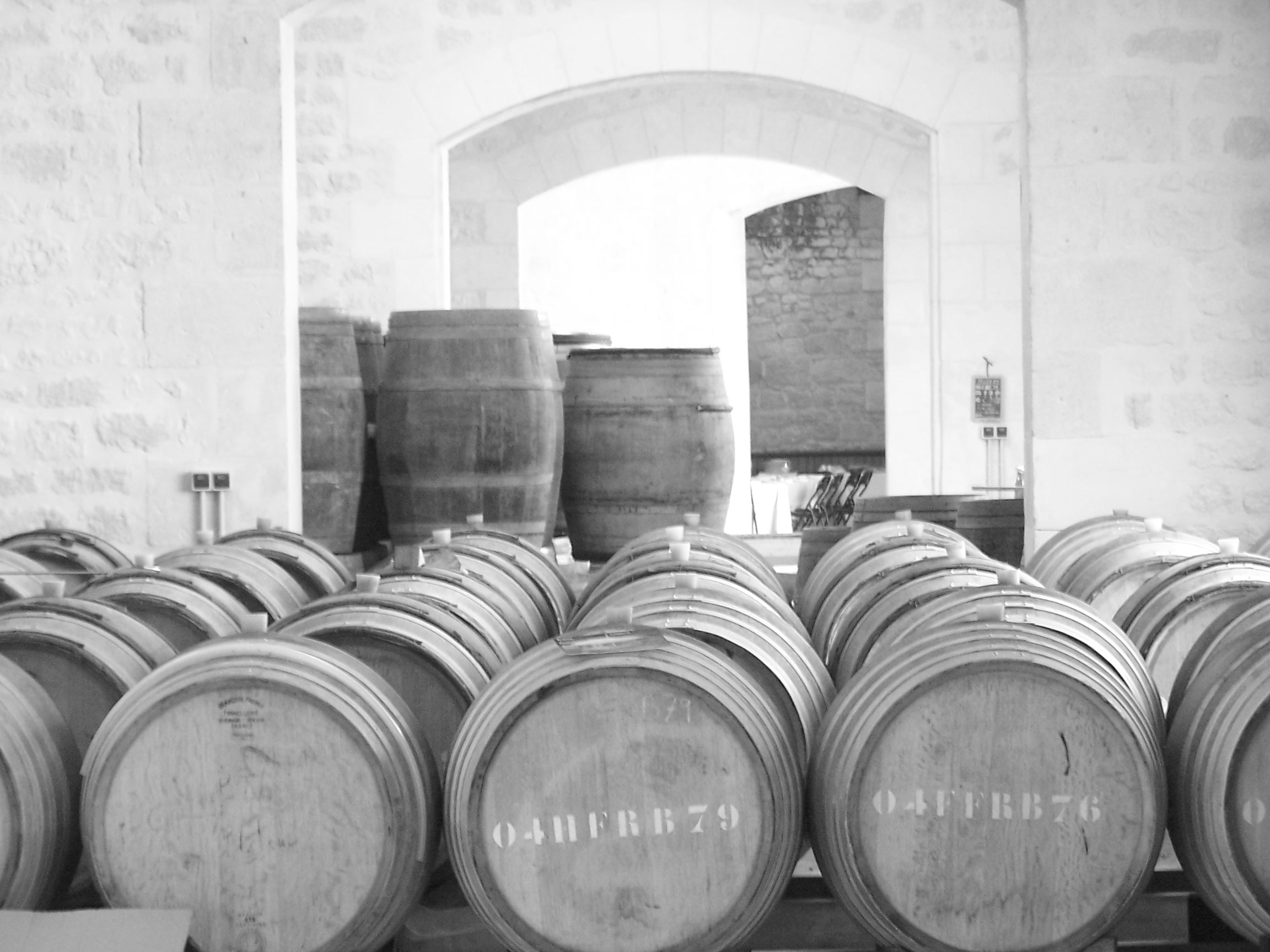 SAS Ampelidae - photo 3